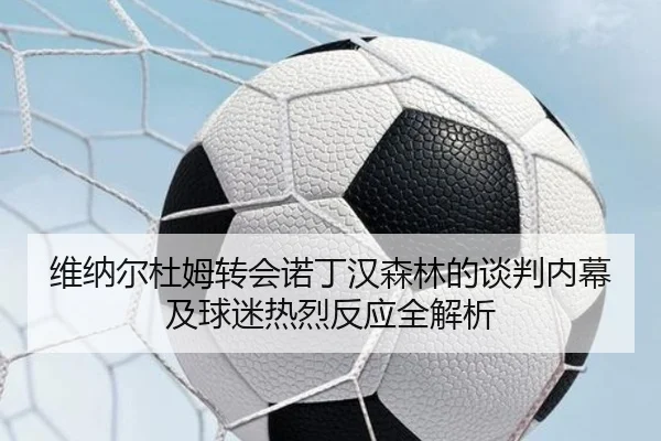 维纳尔杜姆转会诺丁汉森林的谈判内幕及球迷热烈反应全解析